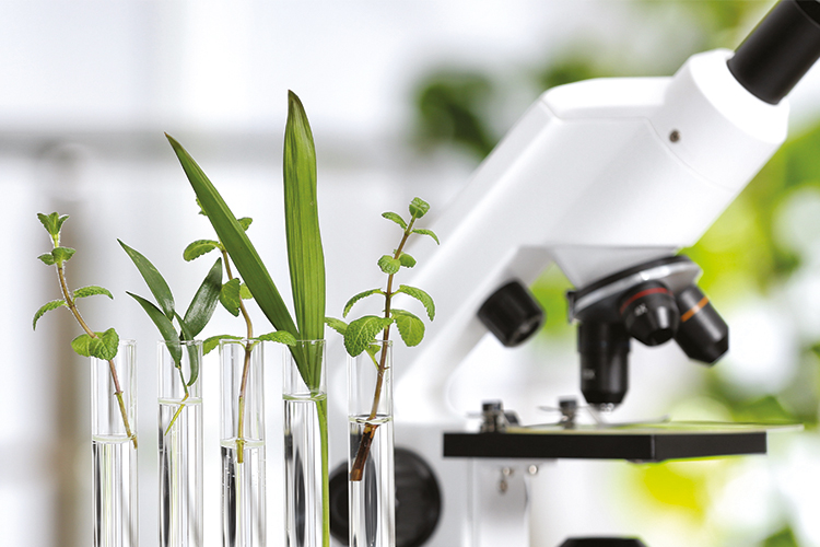laboratoire